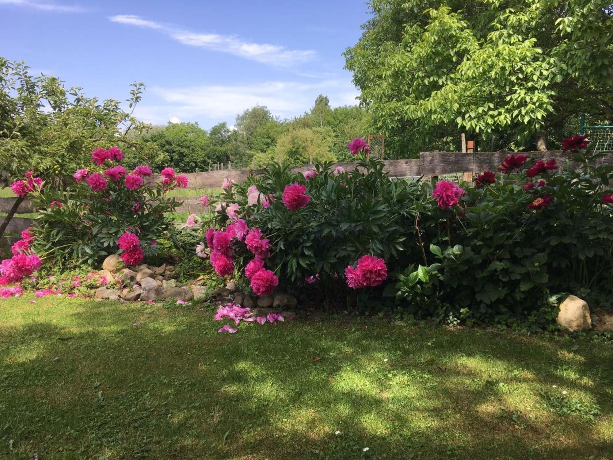 Ferienwohnung Kronengarten Meersburg Exteriör bild